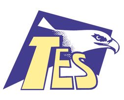 TES Seguridad logo